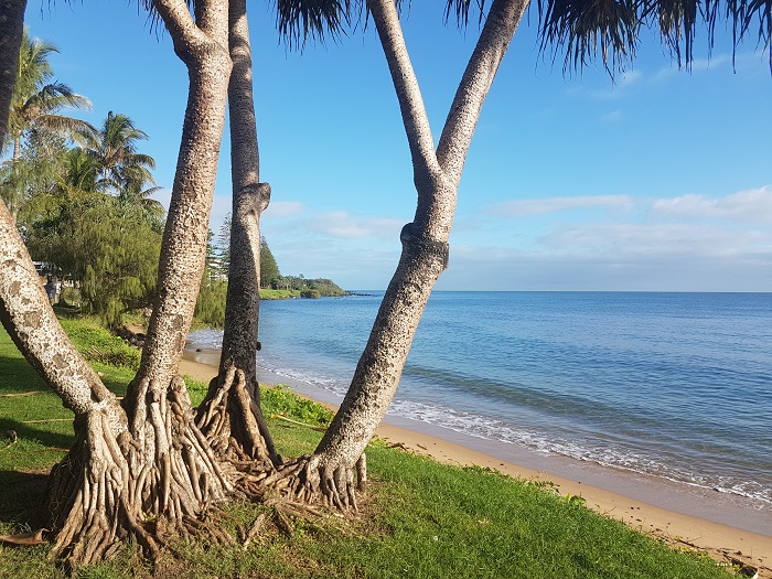 Bargara Beach, Bundaberg - Photo by Reg Kernke