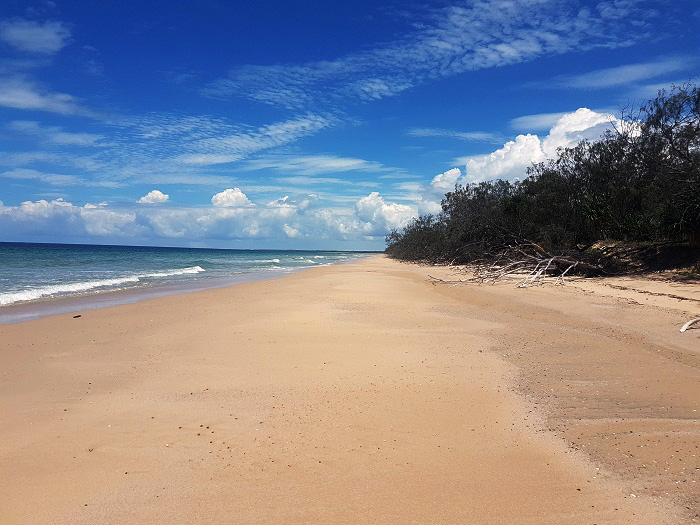 Coonarr Beach- photo by Reg Kernke